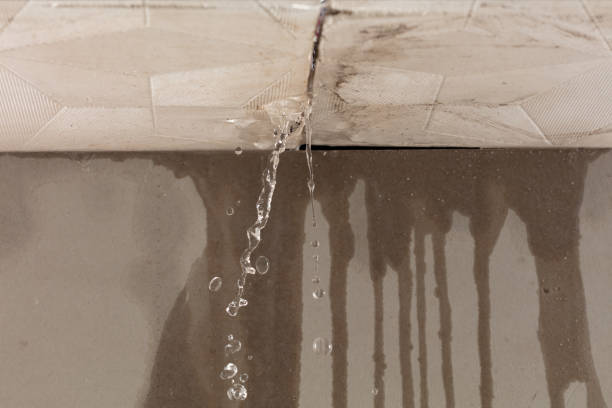 Professional Water Damage Repair technician working in Leipsic, OH